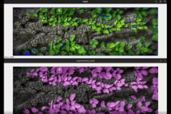 Data Annotation Services for Robotics Company